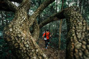 BIB: 
                            <button type="button" onclick="openModal(25393961)" class="btn btn-primary btn-sm float-right btn-popup" data-toggle="modal" data-target=".modal-high-quality">
                        <i class="fas fa-shopping-cart"></i> Add to Cart
                    </button>
                                            <button type="button" onclick="isThisMe(25393961, true)" class="btn btn-success btn-sm float-right btn-popup btn-isme hidden" data-toggle="tooltip" data-placement="bottom" title="นี่คือรูปของคุณใช่ไหม คลิกที่นี่เพื่อเอาเข้าอัลบั้ม">
                        <i class="fas fa-plus"></i> Add to album
                    </button>
                    <button type="button" onclick="isThisMe(25393961, false)" class="btn btn-warning btn-sm float-right btn-popup btn-isnotme hidden">
                        <i class="fas fa-ban"></i> Remove from album
                    </button>